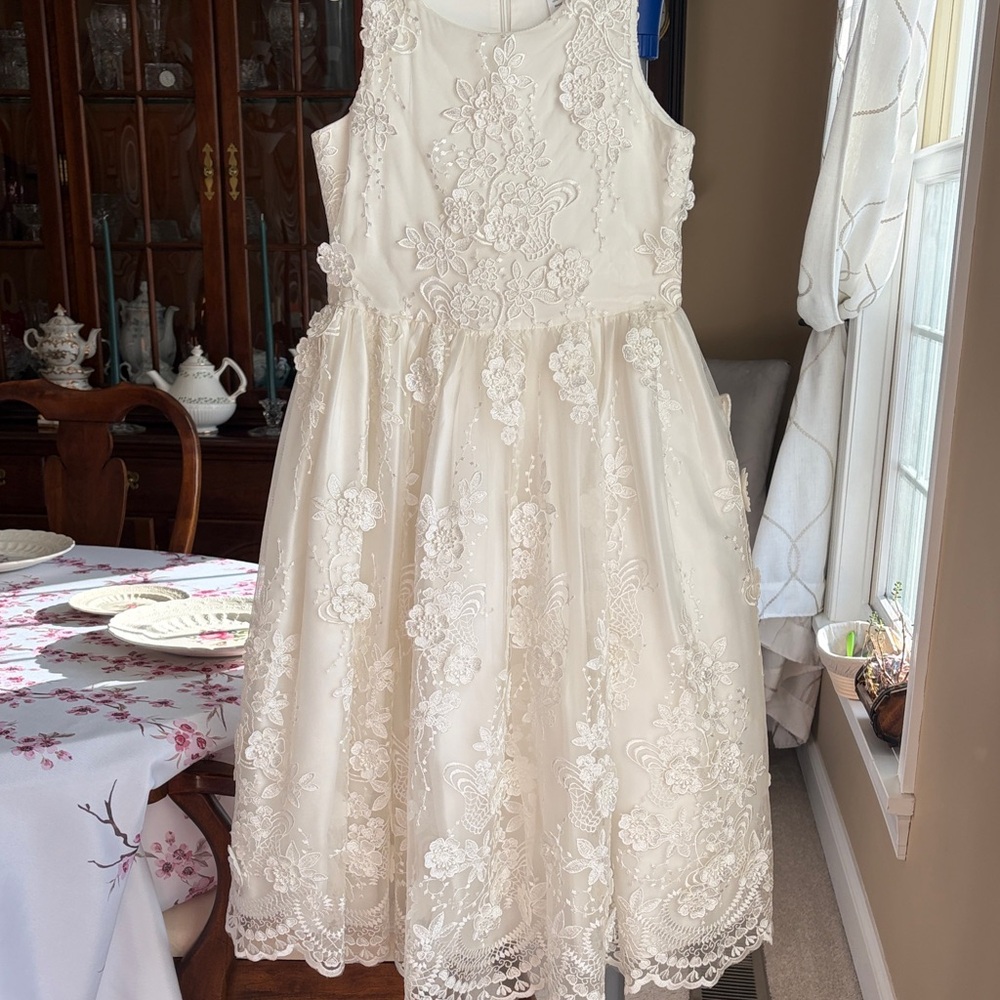Lace Flower Girl Dress and Veil LIKE NEW